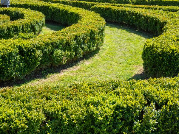 Bush Landscaping in Magnolia
