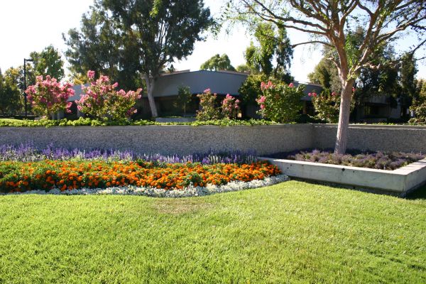 Commercial Landscape Service in Magnolia