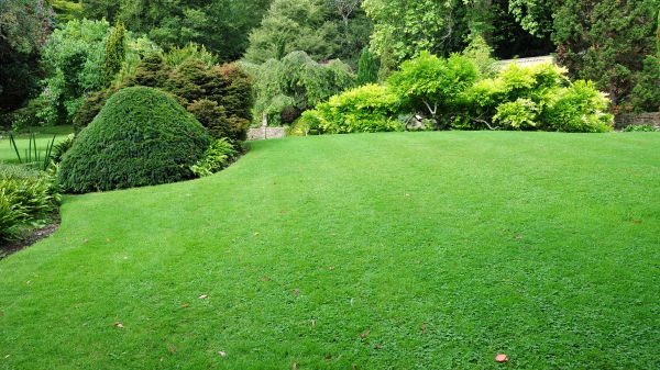 Commercial Landscape Design in Magnolia
