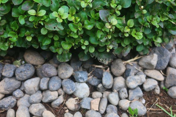 River Stone Installation in Magnolia