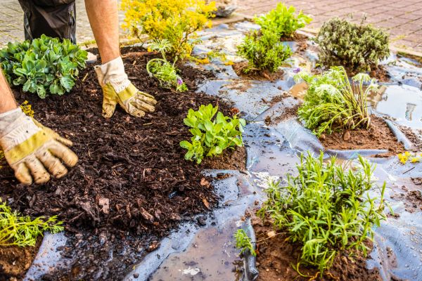 Mulch Fabric Installation in Magnolia