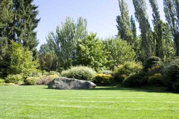 Yard Enlargement in Magnolia