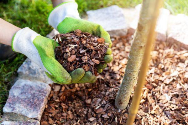 Tree Bark Delivery in Magnolia