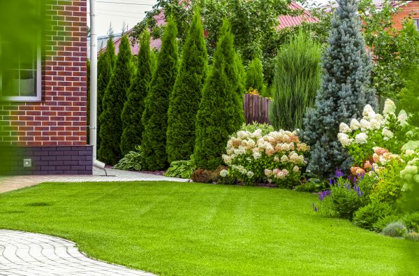 Spring Landscaping in Magnolia
