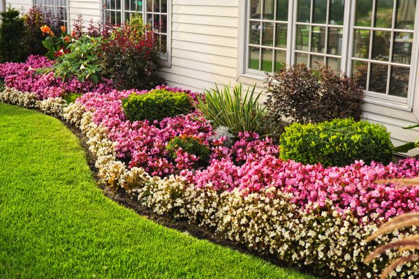 Garden Landscape Design in Magnolia