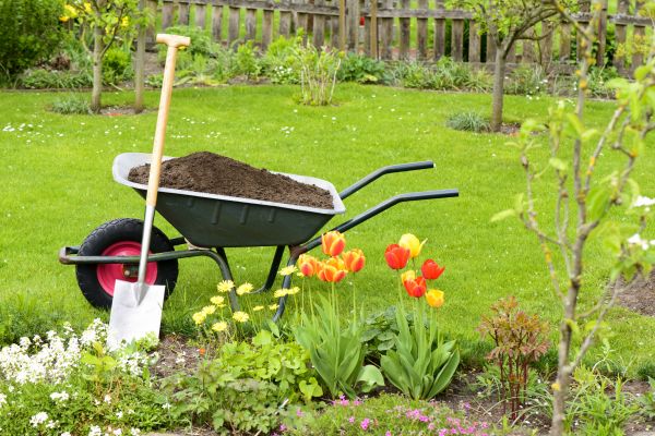 Spring Yard Renovation in Magnolia