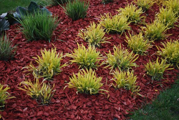 Red Mulch Installation in Magnolia