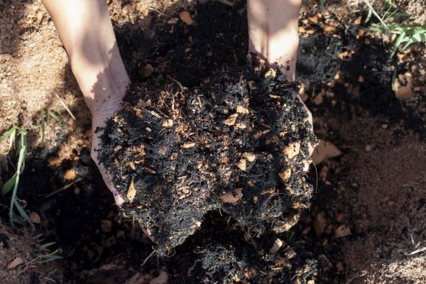 Organic Mulch Installation in Magnolia