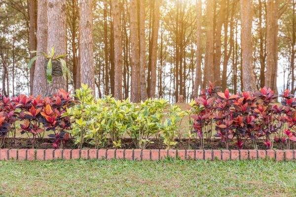 Small Garden Landscaping in Magnolia