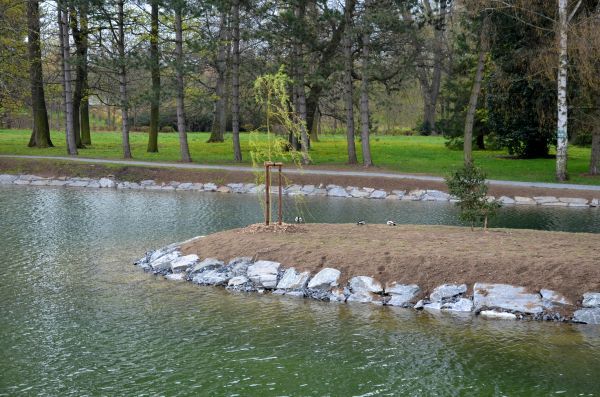 Pond Landscaping Service in Magnolia