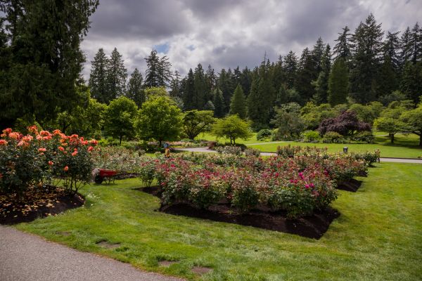Flower Garden Landscaping in Magnolia