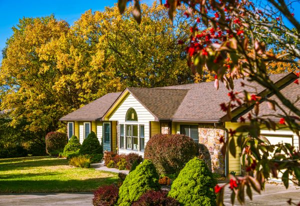 Ranch Landscaping in Magnolia