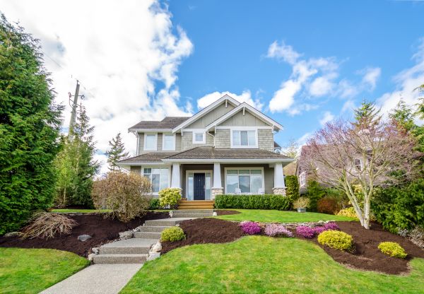 Landscaping Replacement in Magnolia
