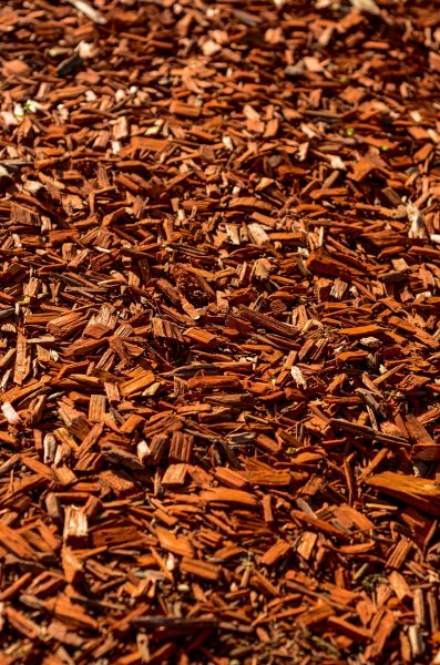 Cedar Mulch Spreading in Magnolia