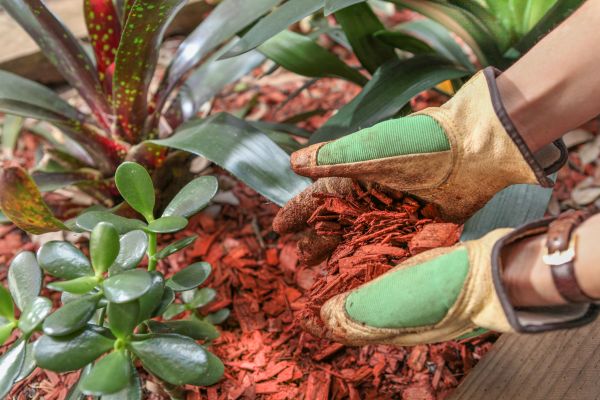 Residential Mulching in Magnolia