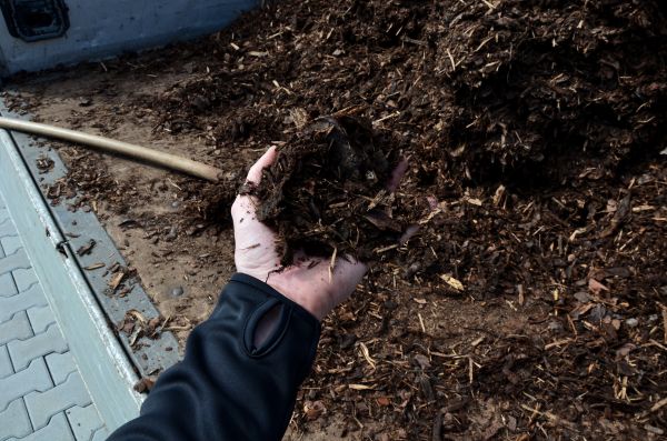 Condo Mulching in Magnolia