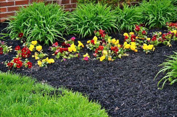 Apartment Mulching in Magnolia
