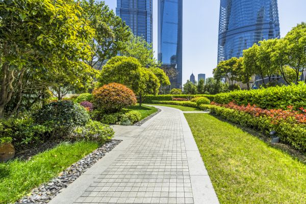 Commercial Landscaping in Magnolia