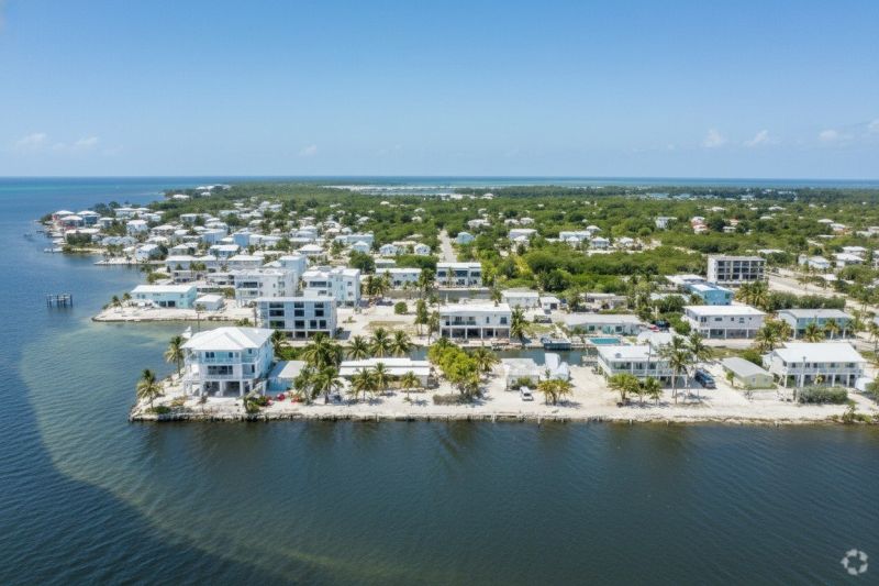 Pine Bark Delivery detail