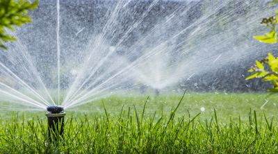 Sprinkler Head Maintenance